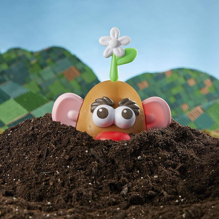 Mr. Potato Head Goes Green packaging made from FSC-certified paper.